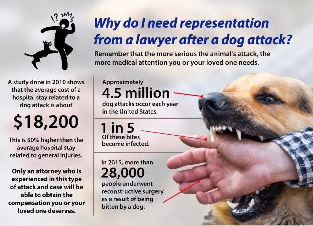 Why do I need representation from a lawyer after a dog